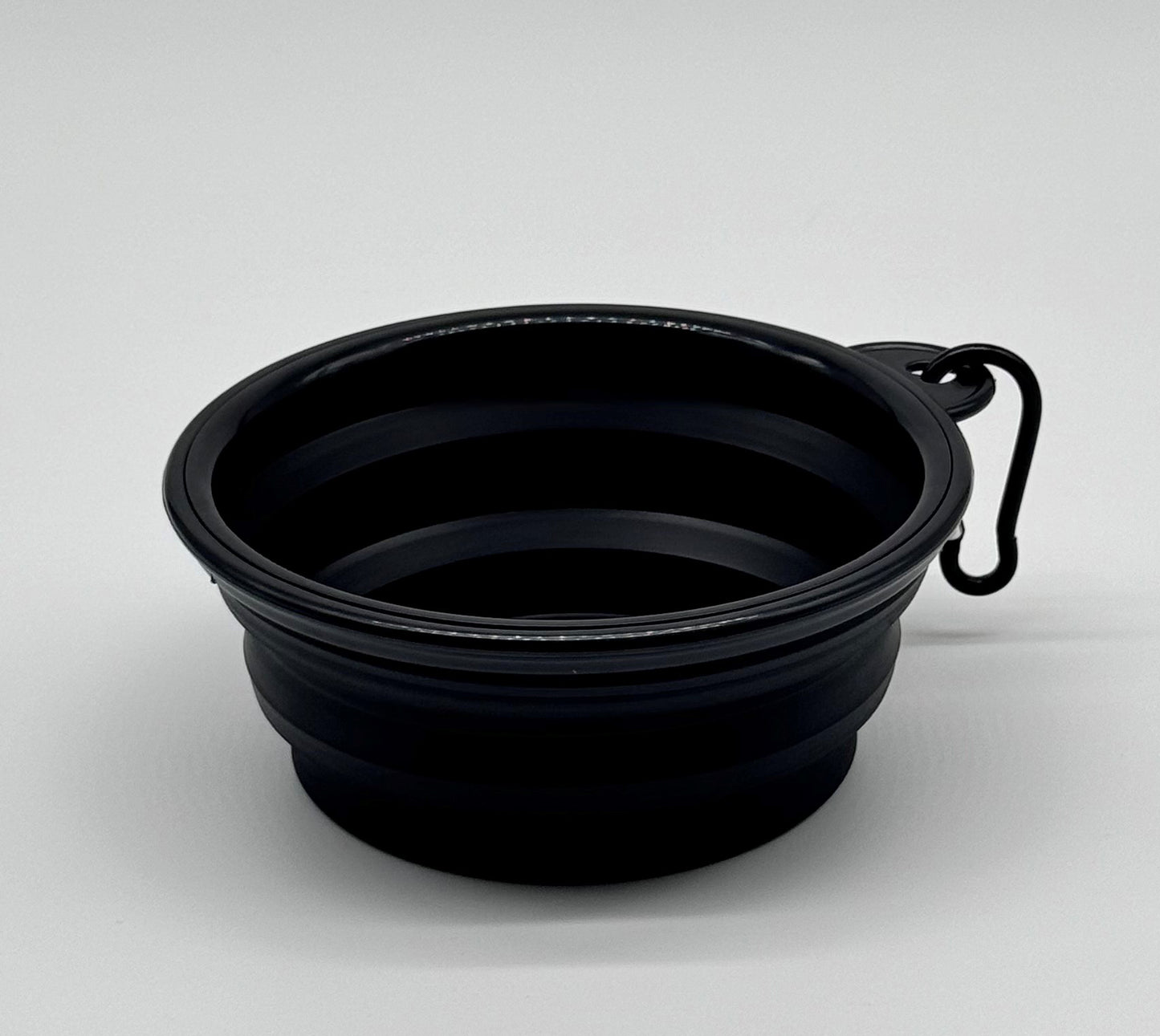 Lyfe Travel Collapsible Bowl